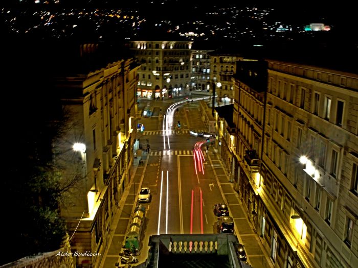 Trieste, bar del centro sotto accusa: disabile cacciato dopo pochi secondi di abbaio del suo cane