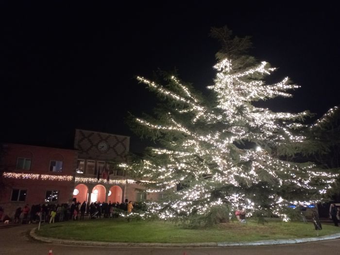 Duino-Aurisina, Natale con noi: acceso l’albero davanti al Municipio: oltre 60 eventi in tutto il comune