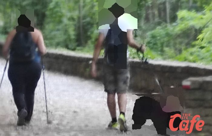 Val Rosandra, un lettore: "Ieri due cani liberi hanno aggredito nostro cane, proprietari  se ne sono fregati"