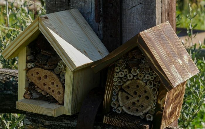 Dalla Regata Cral Insiel donati 5 Bee Hotel posizionati nelle aree verdi dei Ricreatori cittadini
