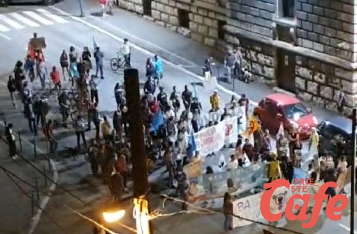 Friday for future, a Trieste slogan anche contro l'ovovia
