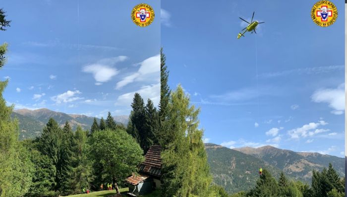 Punta da insetto ha reazione allergica 