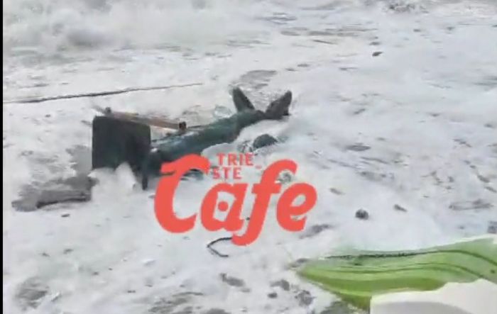 Barcola, gravemente danneggiata dalle mareggiate 'la statua de' La mula de Trieste' (VIDEO) 