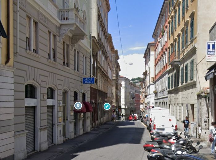 Tensione in via Gatteri, coppia di cani aggredisce violentemente un terzo cane