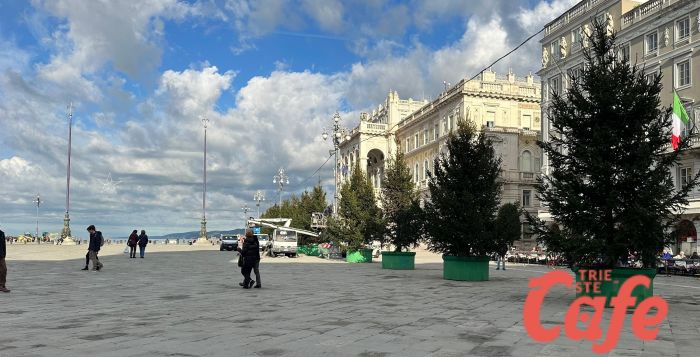 Sempre più Natale a Trieste, arrivati finalmente gli alberi di Natale in piazza Unità! 