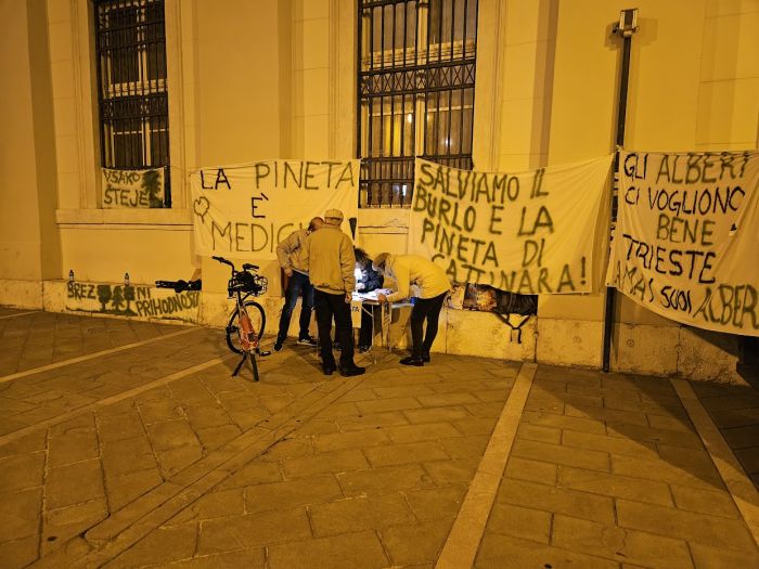 Superate le 9.000 firme pro pineta di Cattinara