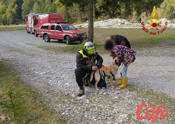Fvg, cane bloccato in un profondo dirupo: i vigili del fuoco lo salvano! (FOTO-VIDEO)