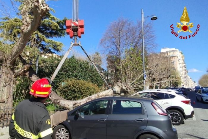 Ramo cade su un'auto in piazza Carlo Alberto: paura ma nessun ferito