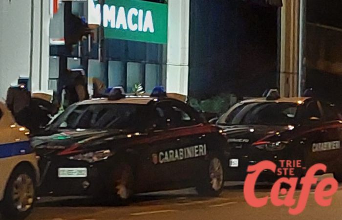 Tentato furto di scarpe: la polizia interviene e arresta un uomo alle Torri 