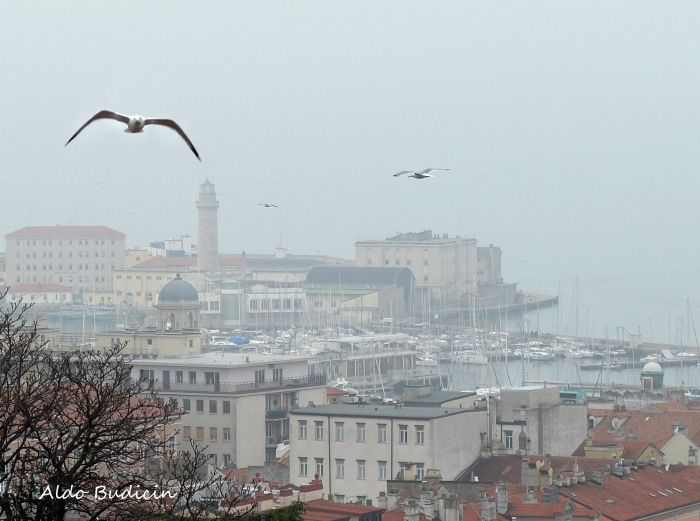 Il meteo di mercoledì 3 gennaio, miglioramento nel corso della giornata, foschie e nebbie