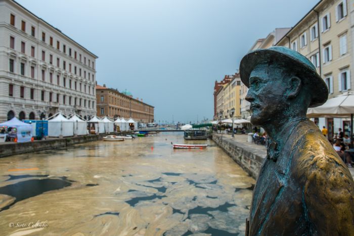Trieste e provincia invase dalla mucillagine