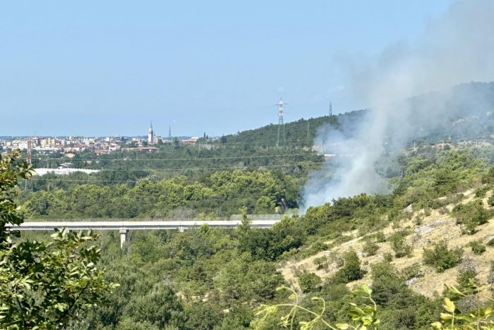Incendio boschivo nella zona di Medeazza: Protezione Civile e Vigili del Fuoco sul posto