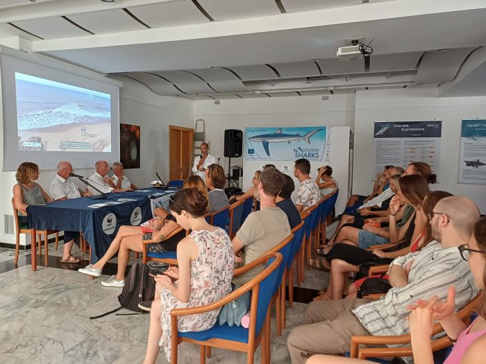 Mare, Wwf: Da Trieste basi per difesa in Alto Adriatico di squali e razze