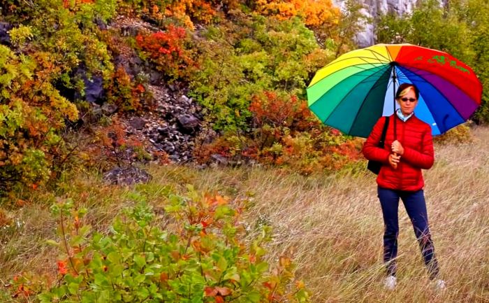 Pioggia, arcobaleno e Lilly, Seba ci insegna come si affronta l'autunno col sorriso!