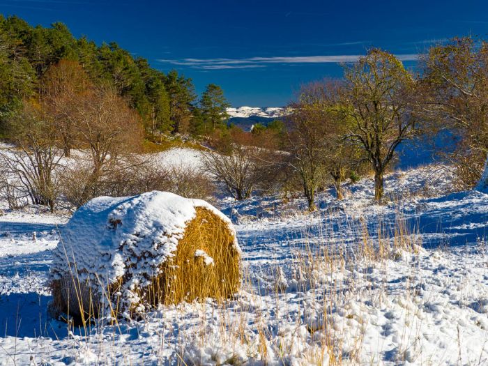 La magia della prima neve sul Carso: un incanto tra boschi e colline (FOTO)