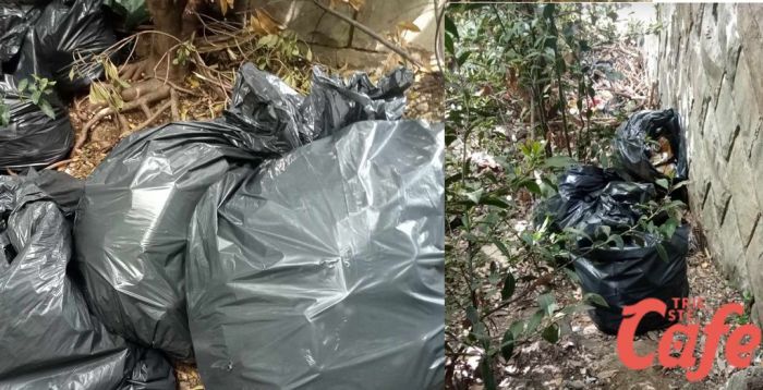 Barattoli, bottiglie e plastica ovunque lungo la ciclabile, ripulita discarica a cielo aperto dal GAAST