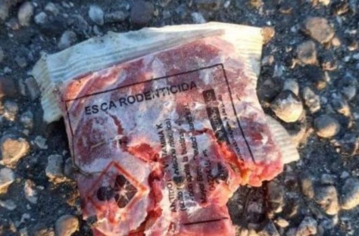 Esche avvelenate al Villaggio del Pescatore: l’allarme del sindaco Gabrovec