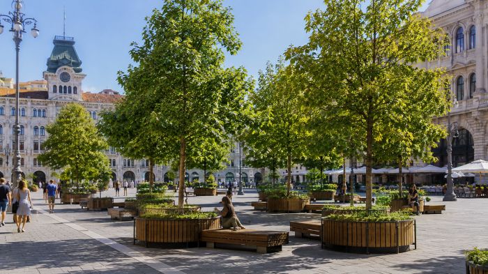Trieste sempre più calda, proposta la forestazione urbana temporanea in piazza Unità