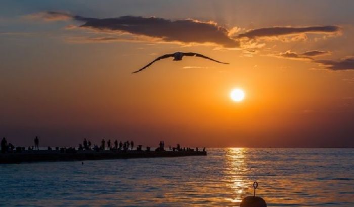 San Valentino, due triestini propongono il “Love Dive”: il tuffo dell’amore dal Molo Audace!