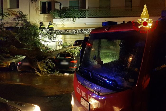 Maltempo & Bora a Trieste: 45 interventi conclusi dai Vigili del Fuoco, ancora trenta in coda (VIDEO)
