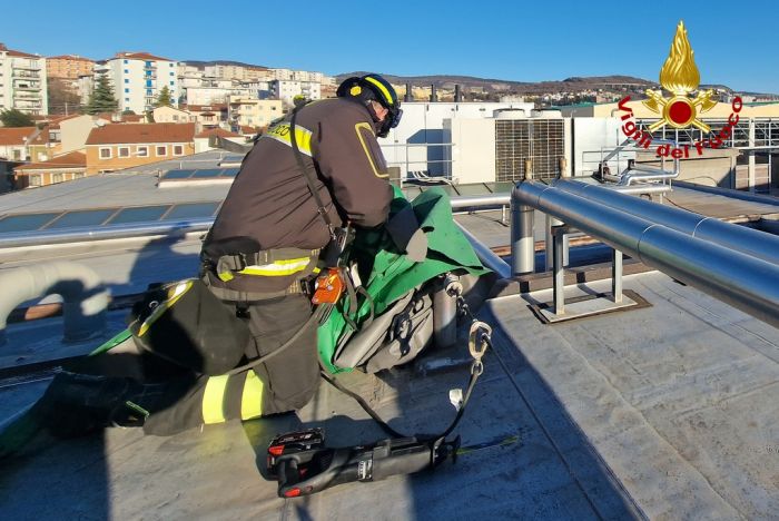 Bora scatenata su Trieste: Vigili del fuoco in azione: alberi caduti, tetti pericolanti e incendio