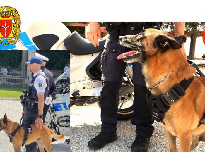 Dal Primo Maggio Conan, il cane antidroga, fa ufficialmente parte della Polizia locale 