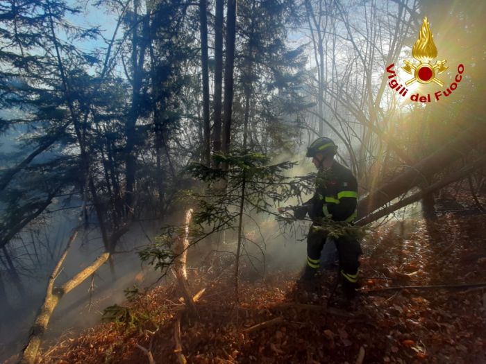 Incendio boschivo ad Arta Terme, 3 ore di lavoro per i Vigili del Fuoco