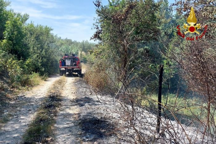 Due principi d’incendio tra San Dorligo e Duino Aurisina: intervento tempestivo evita danni ambientali