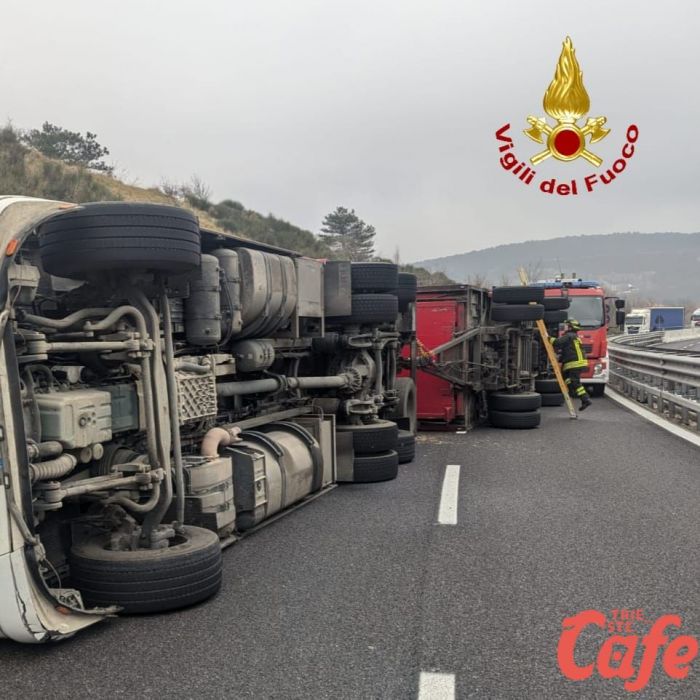 Superstrada verso Muggia bloccata: camion ribaltato e mucche in strada