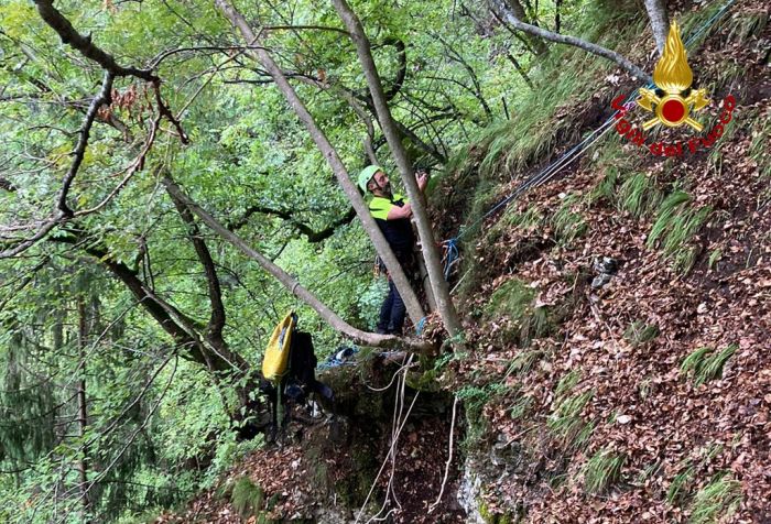 Il  segugio Susy bloccato in un canalone particolarmente impervio: salvato dai vigili del fuoco!