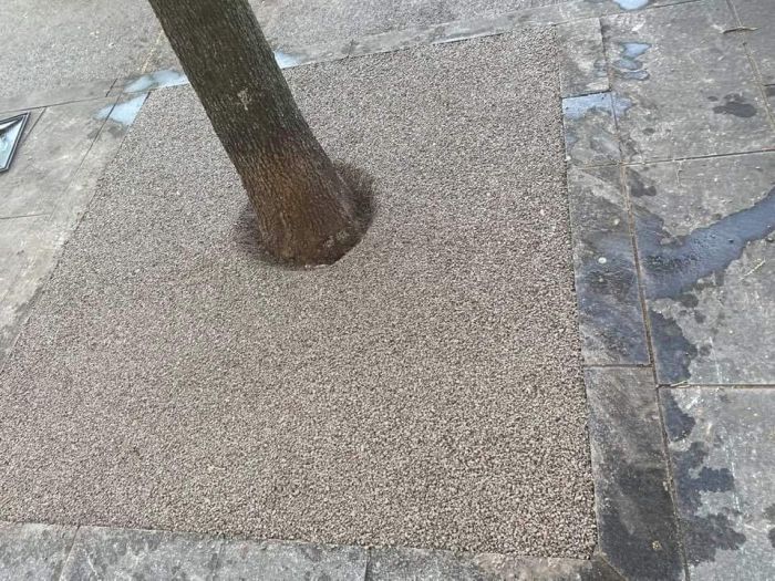 Dipiazza molto soddisfatto e contento: 'Nuovo contorno alberi sulle Rive, più pulito e ordinato' 