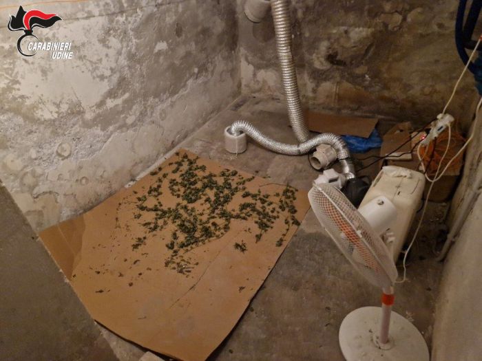 Fg, amorevole coppietta irreprensibile in realtà era a capo di una centrale dello spaccio. tanta droga in casa