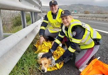 #senontiportononparto: lo spot della polizia di stato contro l'abbandono degli animali
