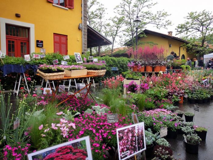 Nel week-end torna nel Parco di San Giovanni Horti Tergestini quest'anno dedicata a Franco Basaglia 