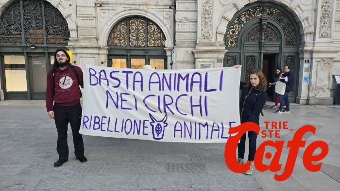 Attivisti in centro per promuovere il benessere degli animali nei circhi (VIDEO)