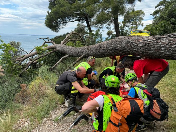 80enne va in gita sul Carso impattando con la testa sul tronco di un albero caduto