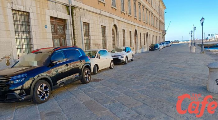 Triestino furibondo; "Via Bellini tra auto ovunque, mendicanti e controlli assenti. Trieste turistica?" 