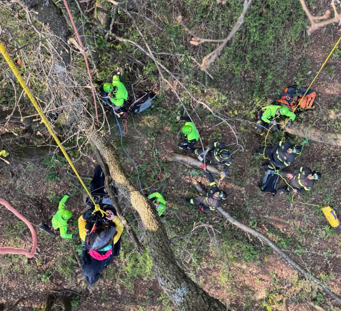 Parapendio si chiude in volo, pilota resta sospesa tra gli alberi: salvata a 15 metri d’altezza in Veneto