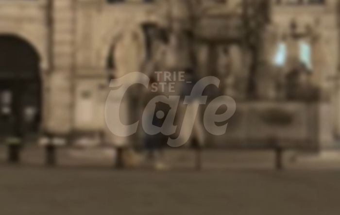Pisciata sulla fontana dei Quattro Continenti: la scena ripresa da un passante (VIDEO)