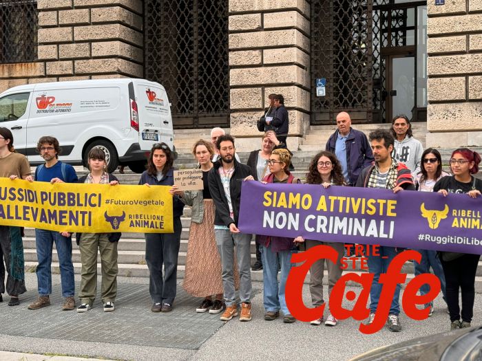 Udienza per sorveglianza speciale: attivista animalista sotto esame (VIDEO-SERVIZIO)