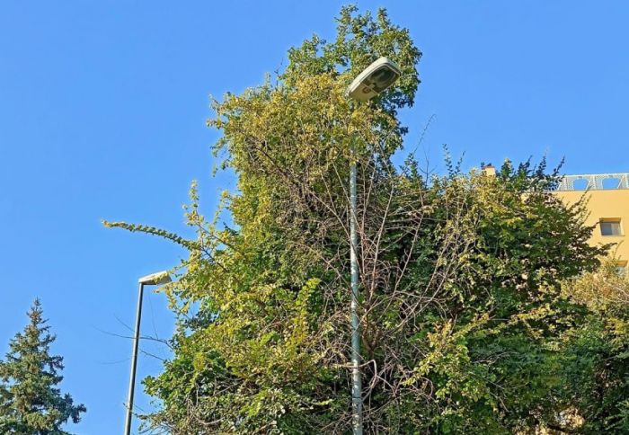 La rabbia di un triestino: lampioni al buio da dicembre, sono anche caduto!
