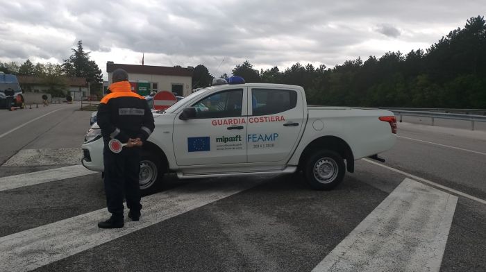 Sequestrati 286 chili di ricci presso il confine italo-sloveno