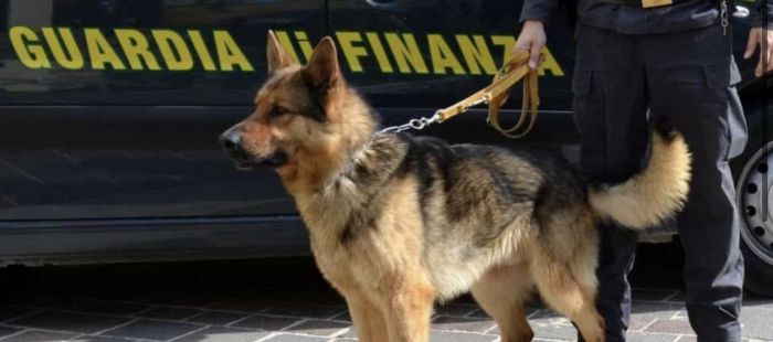 Traffico internazionale di cocaina, nove arresti: droga transitiva anche nel Porto di Trieste