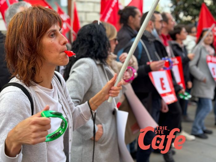 Manifestazione contro la manovra del governo: le voci della piazza (FOTO-VIDEO)