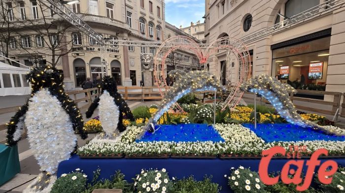 Viale in Fiore: in quale fiore si identificano i triestini? (VIDEO)