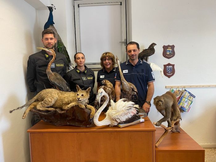 Porto di Trieste, sequestrati 24 animali di e specie protette e tutelati occultati in un carico di masserizie