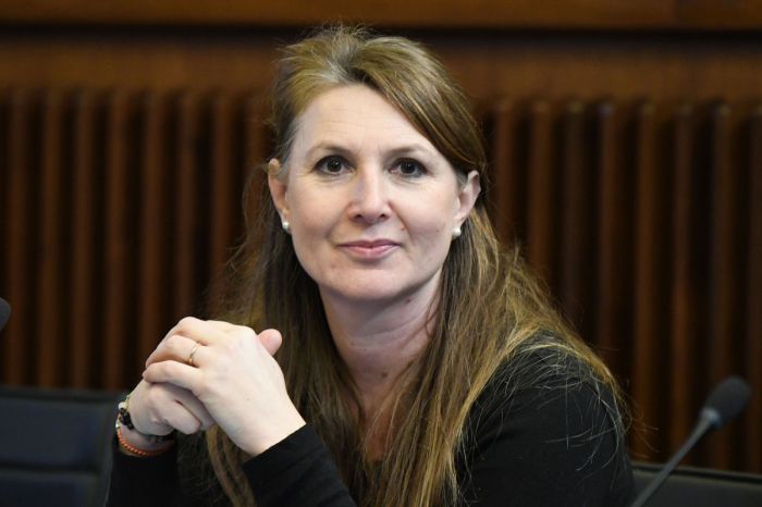 Province. Capozzi (M5s): "Progetto datato e vago, persino Ciriani lo critica"