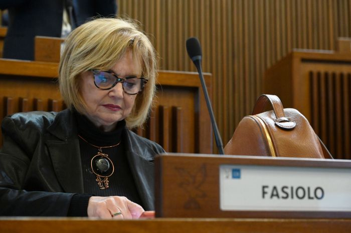 Its Academy, Fasiolo (PD): "corso a Gorizia risponde a imprese e territorio"