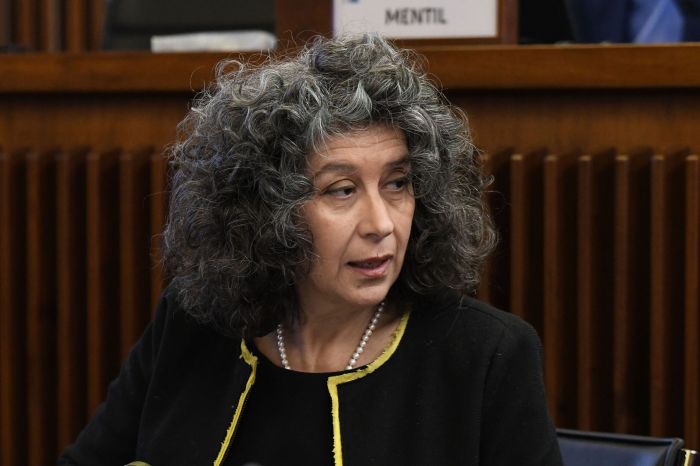 Studenti palestinesi. Pellegrino (Avs), "bene che non siano schedati in Fvg ma dal Governo nessuna chiarezza"