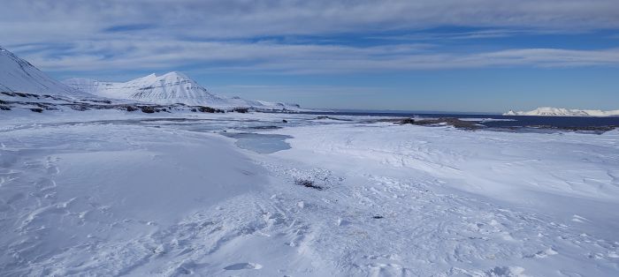 OGS, ghiacciai artici: dallo studio i misteriosi microrganismi che sfidano il cambiamento climatico